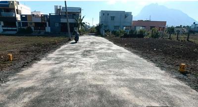 Project Images