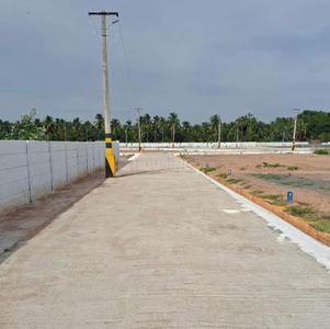 Project Images