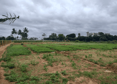 Project Image of 600.09 - 3057.38 Sq.ft Residential Plot Plot for buy in KNS Aura
