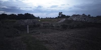 Belvoir Paradise Plot 1