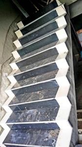 Project Image of 720.0 - 1500.0 Sq.ft 1 BHK Apartment for buy in Multicon Sigma