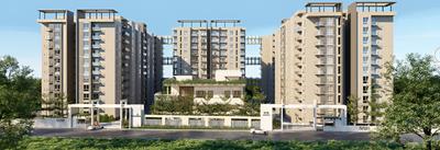 DNR Arista Elevation 1