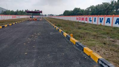 Project Image of 855.0 - 1282.0 Sq.ft Residential Plot Plot for buy in United Enclave