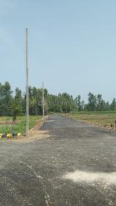 Project Image of 500.0 - 1500.0 Sq.ft Residential Plot Plot for buy in Padmaja Ashirwad Enclave Phase 2