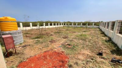 Project Image of 600.0 - 1600.0 Sq.ft Residential Plot Plot for buy in RBS Vetri Nagar