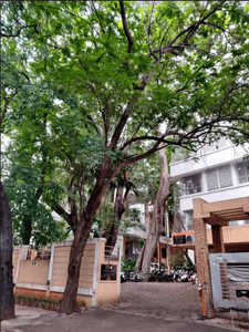 Paranjape Silver Leaf Elevation 1