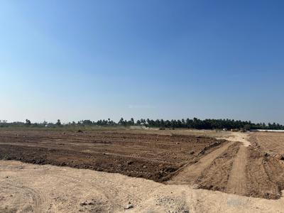 Green Field Opal Garden Elevation 1