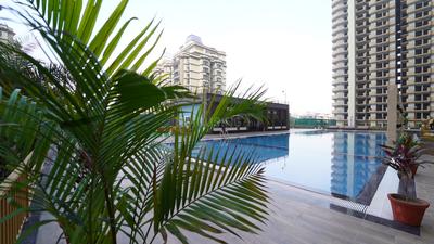 Project Image of 1755.0 - 2370.0 Sq.ft 3 BHK Apartment for buy in Saya Gold Avenue