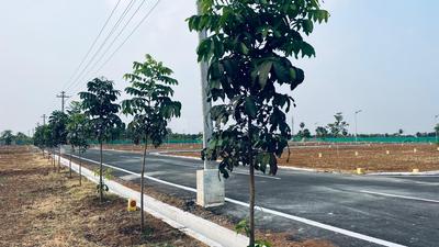 Project Image of 400.0 - 2768.0 Sq.ft Residential Plot Plot for buy in Thiru Murugan Nagar
