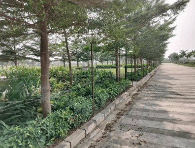 Project Image of 1076.39 - 5381.96 Sq.ft Residential Plot Plot for buy in Pintail Park City Phase 3 Plots