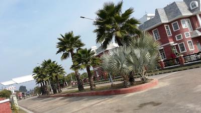 Project Image of 1152.0 - 2737.0 Sq.ft 3 BHK Villa for buy in Eldeco Mansionz