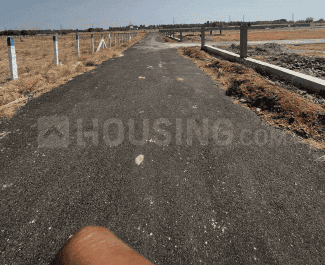 Project Images