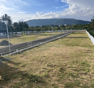 Project Images