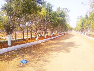 Project Image of 0.0 - 2097.0 Sq.ft Residential Plot Plot for buy in Metro Prime Avenue