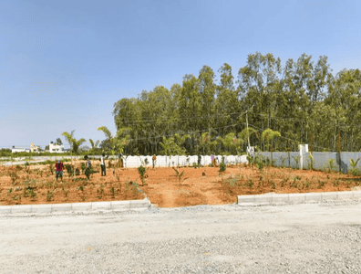 Project Image of 1127.11 - 2241.69 Sq.ft Residential Plot Plot for buy in Falcon Sun And Serenity