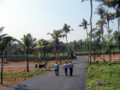 Project Image of 1572.0 - 3571.0 Sq.ft Residential Plot Plot for buy in Coral Gardens