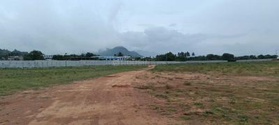 Project Image of 600.0 - 2016.0 Sq.ft Residential Plot Plot for buy in Sarangi Saranki Palm Paradise