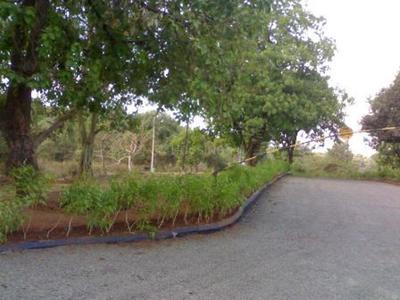 Eiffel Warai Woods Ph 2 Images for Elevation of Eiffel Warai Woods Ph 2 1