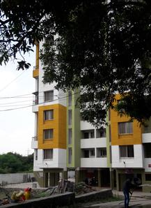 Krushna Lake Woods Images for Project 1