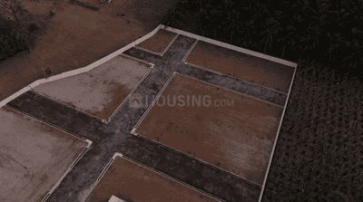 Project Images