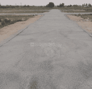Project Images