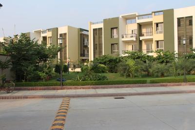 Project Image of 1119.0 - 1619.0 Sq.ft 2 BHK Apartment for buy in Ashadeep Gulmohar Walkup Apartment