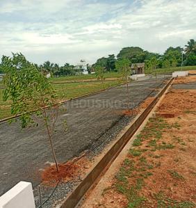 Project Images