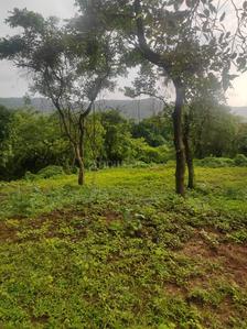 Project Image of 1000.0 - 10000.0 Sq.ft Residential Plot Plot for buy in Farm N Land Roha