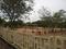 J K JK Nithyashree Theme Park 1