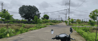 Project Images