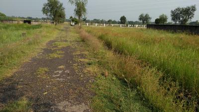 Project Image of 1440.0 - 2160.0 Sq.ft Residential Plot Plot for buy in Ambika Garden