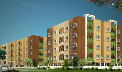 Confident Jade Images for Elevation of Confident Jade 2