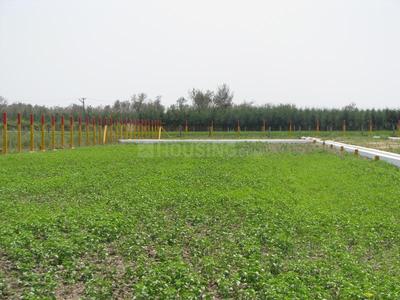 Project Image of 1750.0 - 4085.0 Sq.ft Residential Plot Plot for buy in SM Sri Arunachala City