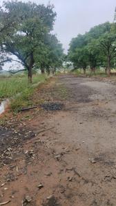 Project Image of 1800.0 - 3600.0 Sq.ft Residential Plot Plot for buy in CK Infini Breeze County