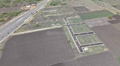Project Images