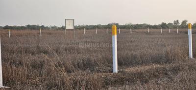 Project Image of 1000.0 - 10000.0 Sq.ft Residential Plot Plot for buy in Bhoomi Plots In Ranjanpada
