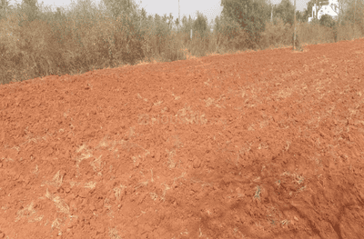 Project Image of 532.81 - 19634.13 Sq.ft Residential Plot Plot for buy in KNS Mudra