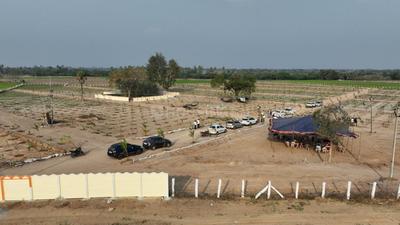 Project Image of 1089.0 - 3267.0 Sq.ft Agricultural Land Agricultural Land for buy in Sahuri Green Leaf