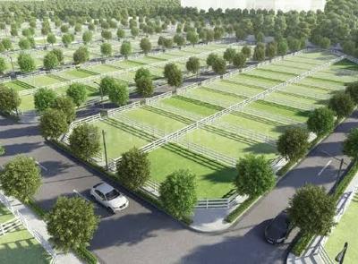 Project Image of 600.0 - 1991.0 Sq.ft Residential Plot Plot for buy in Tata New Value Homes Crescent Enclave
