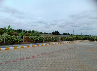 Viya Shantivan Internal Roads 1