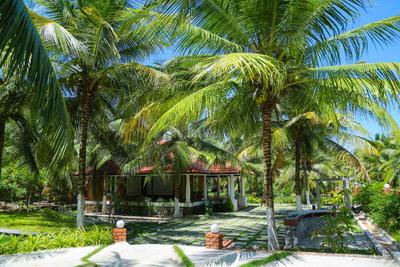 Project Image of 1560.0 - 14589.0 Sq.ft Residential Plot Plot for buy in Coconest