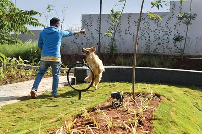 Project Image of 2500 Sq.ft Residential Plot / Land for sale in Bavdhan for Rs. 41000000