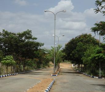 Project Image of 4500.0 - 5247.0 Sq.ft Residential Plot Plot for buy in Vasundhara Tree Park