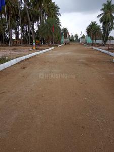 Project Image of 600.0 - 4800.0 Sq.ft Residential Plot Plot for buy in Accord Ranch City