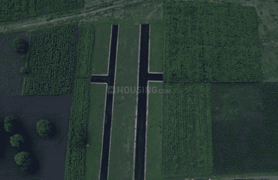Project Images
