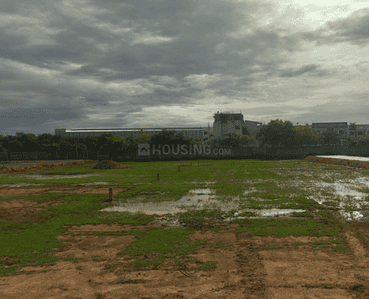 Project Images