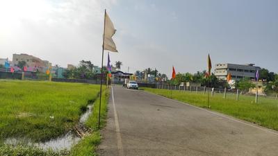 Gallery Cover Pic of Green Rainbow Avenue