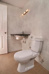 Project Image of 647.0 - 1752.0 Sq.ft 1 BHK Apartment for buy in SFS Cyber Palms Ivory