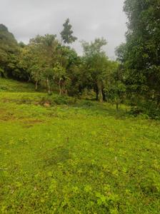 Project Image of 1000.0 - 10000.0 Sq.ft Residential Plot Plot for buy in Trivikram Infra Residential Plot In Ulwe Mahamumbai