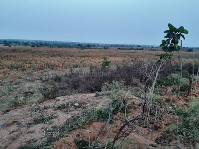 Evergreen Farm Lands Plot 1
